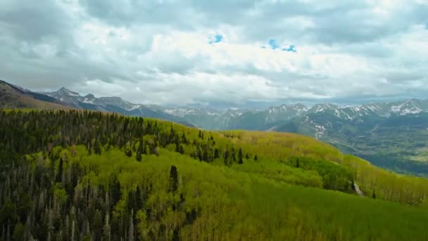 Telluride Colorado Usa Luchtdrone Neergeschoten Vliegen Heuvel Bedekt Het Bos — Stockvideo