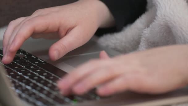 Eller Evde Çalışırken Dizüstü Bilgisayarı Kullanıyor — Stok video