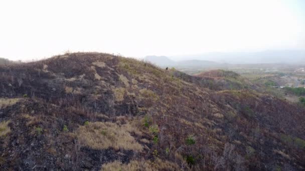 Nachwirkungen Eines Verbrannten Hangs Südvietnam Nach Einem Buschbrand Antennenanlage — Stockvideo