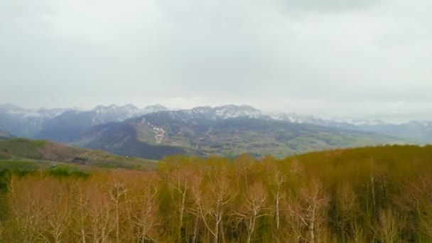 Telluride科罗拉多美国 在多云的雨天 空中无人机俯瞰着黄杨树森林小山 展现了美丽的落基山脉风景 — 图库视频影像
