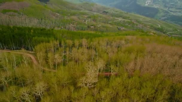 Telluride Colorado Usa Hava Aracı Aspen Tree Hills Küçük Kayak — Stok video