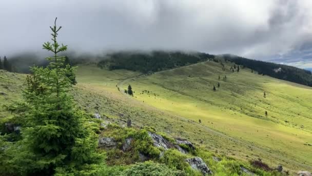 山の中で高い牛の牧草地の着実なショット 強風だ 速く動く雲 オーストリア — ストック動画