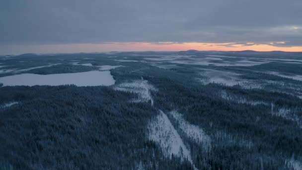 Aerial View Rising Vast Peaceful Scandinavian Winter Woodland Landscape Dawn — Stock Video
