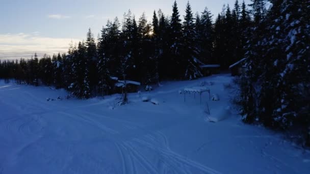 空中的景色在日出后闪烁着宁静的冰雪覆盖着冬季的林地小屋 — 图库视频影像