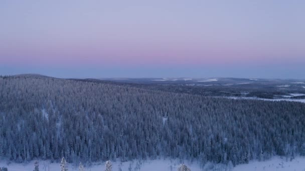 Vista Inversa Aérea Acima Árvores Bosque Invernais Com Neve Coberto — Vídeo de Stock