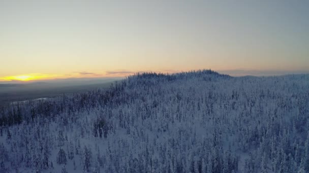 Luftaufnahme Der Schneebedeckten Skandinavischen Bergkette Waldwildnis Und Skyline Des Sonnenaufgangs — Stockvideo