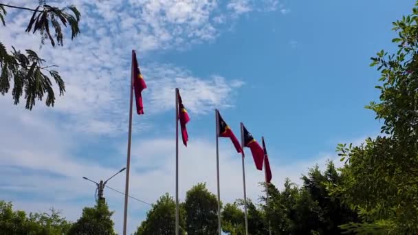 Güneşli Başkent Dili Timor Leste Güneydoğu Asya Bayrak Direkleri Üzerinde — Stok video