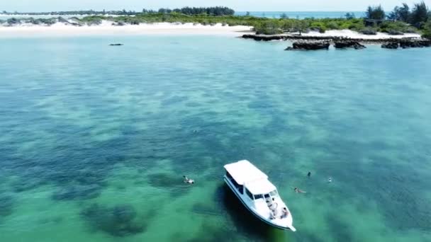 Snorkeling Mozambique Island — 비디오