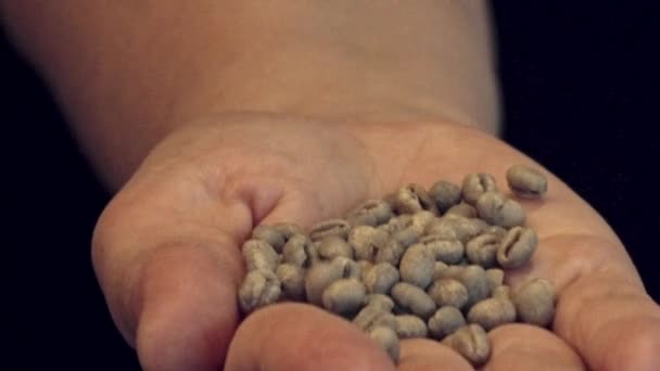 Man Opens His Hand Reveal Handful Unroasted Coffee Beans Isolated — Stock Video