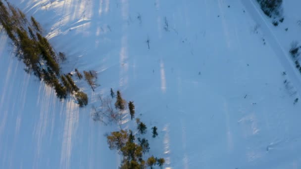 Luftaufnahme Die Sich Über Eine Riesige Skandinavische Schneebedeckte Bewaldete Berglandschaft — Stockvideo