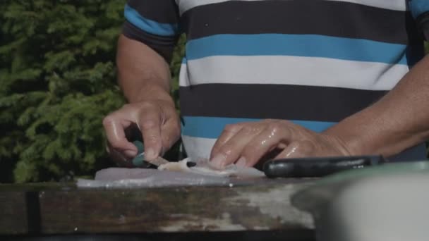 Mężczyzna Czyści Ryby Ostrym Nożem Świeżym Powietrzu Słoneczny Dzień Gimbal — Wideo stockowe
