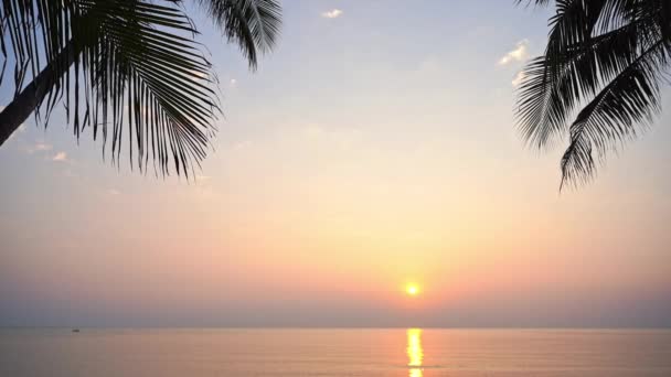 Majestoso Pôr Sol Acima Oceano Horizonte Roxo Silhuetas Árvores Tropicais — Vídeo de Stock