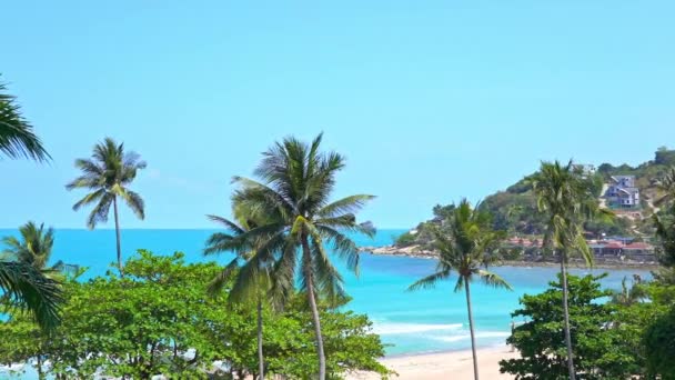 Tropikalna Wyspa Upalny Słoneczny Dzień Plaża White Sand Zielone Drzewa — Wideo stockowe