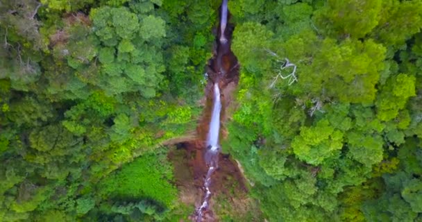 Авіаційні Вертикальні Кадри Тропічного Водоспаду Сан Мігель Азорські Острови — стокове відео