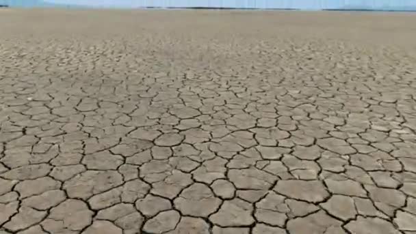 気候変動と干ばつのために カスアリーナ島の割れた土壌の上を飛行する無人機 — ストック動画