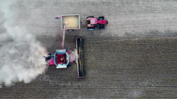 Combinar Cosechadora Tractor Remolque Recolección Cultivos Rendimiento Armonía Coordinación Vista — Vídeo de stock