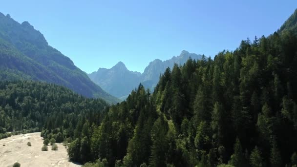 Vista Aérea Valle Montañoso Lleno Árboles — Vídeos de Stock