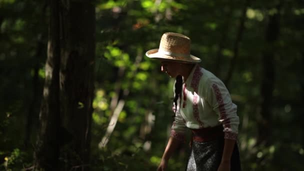 Rumunská Dívka Prochází Lesem Obdivuje Přírodu — Stock video