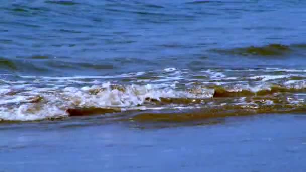 Suaves Olas Playa Arena Negra Santo Tomé Príncipe Cerca — Vídeos de Stock