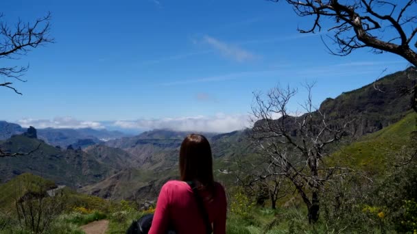 Неузнаваемая Брюнетка Наблюдающая Видом Вершины Горы Окруженной Природой — стоковое видео