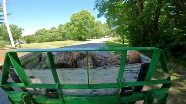 Pov Trator Carregador Verde Compacto Operando Com Garfos Paletes Hidráulicos — Vídeo de Stock