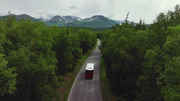 Minik Turist Delüks Otobüsü Anchorage Alaska Daki Orman Yolu Ndan — Stok video