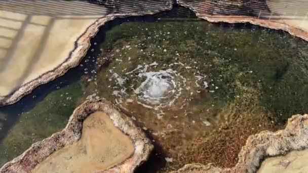 Hierve Agua Oaxaca Mexiko Vattenfall Förstenade — Stockvideo