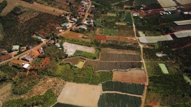 Verschiedene Landwirtschaftliche Praktiken Der Fruchtbaren Region Vietnams Luftaufnahmen — Stockvideo