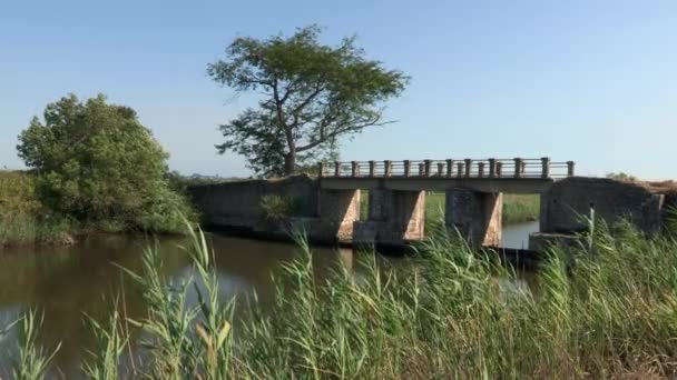 モンデゴ川の最大の支流の1つであるフォジャ川をまたぐローマ舗装の100年橋で 水田が供給されています — ストック動画