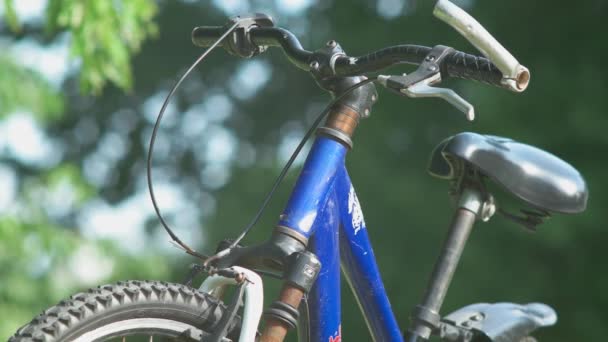 林子里骑自行车的闭门造车 — 图库视频影像