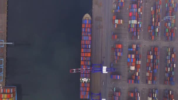 Frachtschiffe Mit Schiffscontainern Beladen Legen Einem Nebligen Tag Hafen Von — Stockvideo