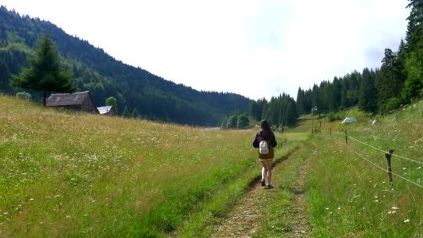 Una Mujer Caminando Través Una Montaña — Vídeo de stock