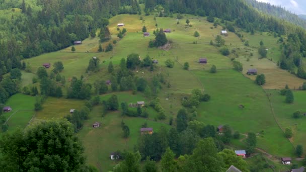 Piatra Craiului Brasov Rumänien Transsylvanien — Stockvideo