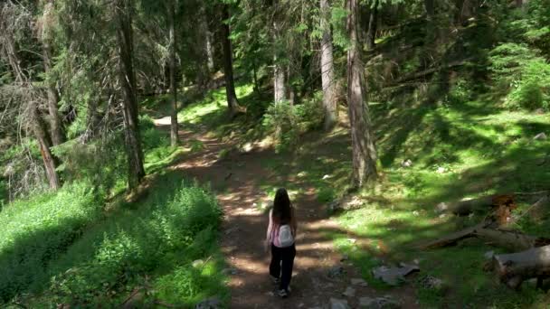 Piatra Craiului Yürüyen Kadın Brasov Ülkesi Romanya Transilvanya — Stok video