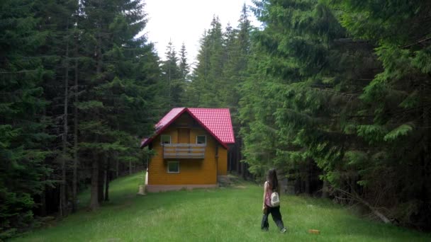 Piatra Craiului Yürüyen Kadın Brasov Ülkesi Romanya Transilvanya — Stok video