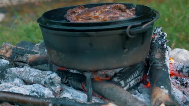 Grill Brasa — Stockvideo