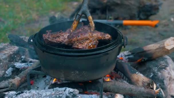 Şenlik Ateşinde Barbekü — Stok video