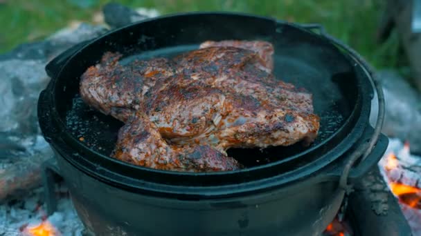 Grill Brasa — Stockvideo