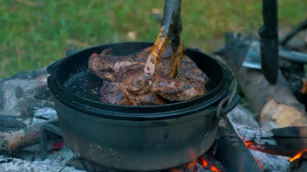 Şenlik Ateşinde Barbekü — Stok video