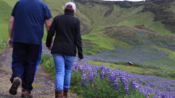 Islândia Alpine Field Man Woman Afastando Câmera — Vídeo de Stock