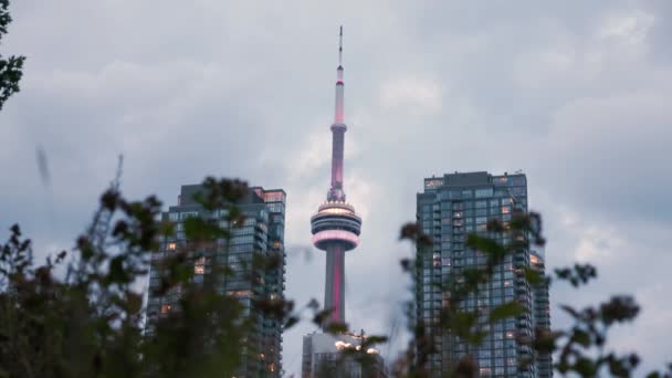 Tower Downtown Toronto Visa Från Gatunivå Inramad Mellan Två Byggnader — Stockvideo