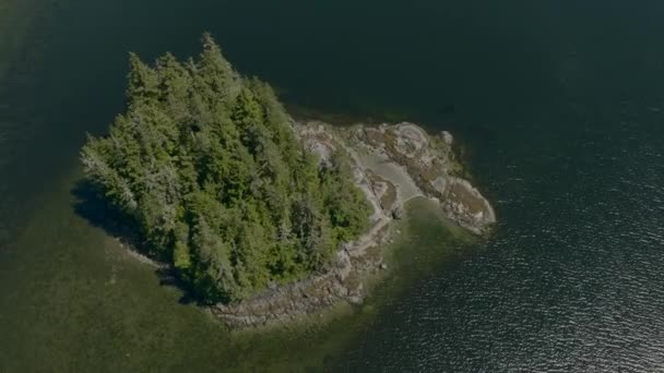 位于加拿大不列颠哥伦比亚省温哥华岛附近的太平洋海湾中的一个小岛上 无人机拍下了它的顶部 — 图库视频影像