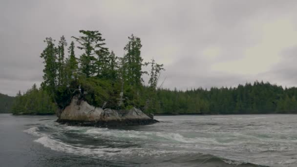 Slow Motion Nakwakto British Columbia Yavaş Çekimde Kuşlar Adadan Havalanırken — Stok video