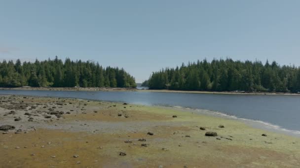 在不列颠哥伦比亚省西海岸的一个低潮的海滩上飞行的无人机揭示了更多的岛屿和太平洋 加拿大不列颠哥伦比亚省温哥华岛 — 图库视频影像