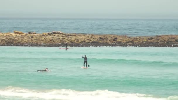 南アフリカ共和国ケープタウンの海でパドルボーディング ワイド — ストック動画