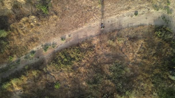 Pájaros Vista Una Pareja Caminando Felizmente Largo Una Pista Través — Vídeos de Stock