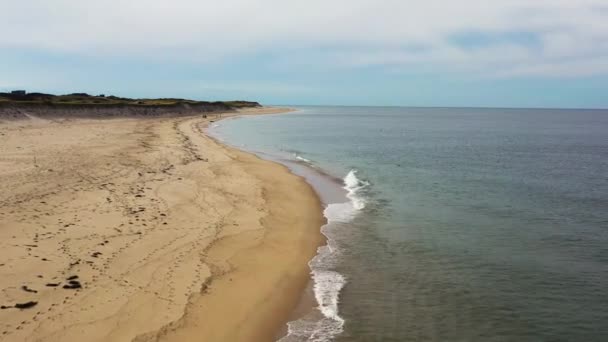 Flyger Över Sandstranden Ensam Tätning Kan Ses Bryta Ytan — Stockvideo