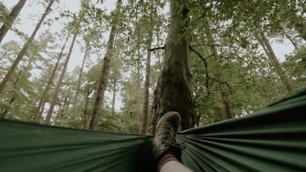 Eerste Persoon Uitzicht Van Hangmat Swingend Het Bos — Stockvideo