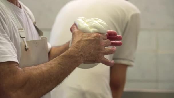 Maler Worker Kneed Verse Mozzarella Kaas Fatory Productieproces — Stockvideo