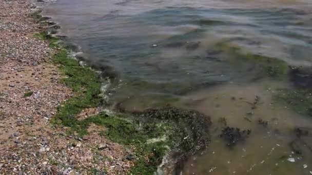 Small Waves Lapping Sandy Shore Harwich Essex Summer 2022 — Stock Video